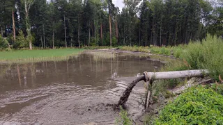 Во Владимирской области идёт расчистка русла Колпи 