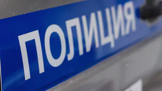 С поезда, следовавшего через Муром, полицейские сняли буйного пассажира
