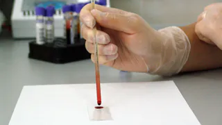 Какая группа крови оказалась самым главным признаком дворянского происхождения?