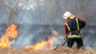 Во Владимирской области отменён особый противопожарный режим