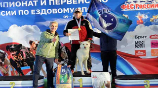Владимирские каюры взяли 10 медалей чемпионата России по ездовому спорту в Доброграде