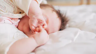 Во Владимире родились Север, Евлалия и Евграф