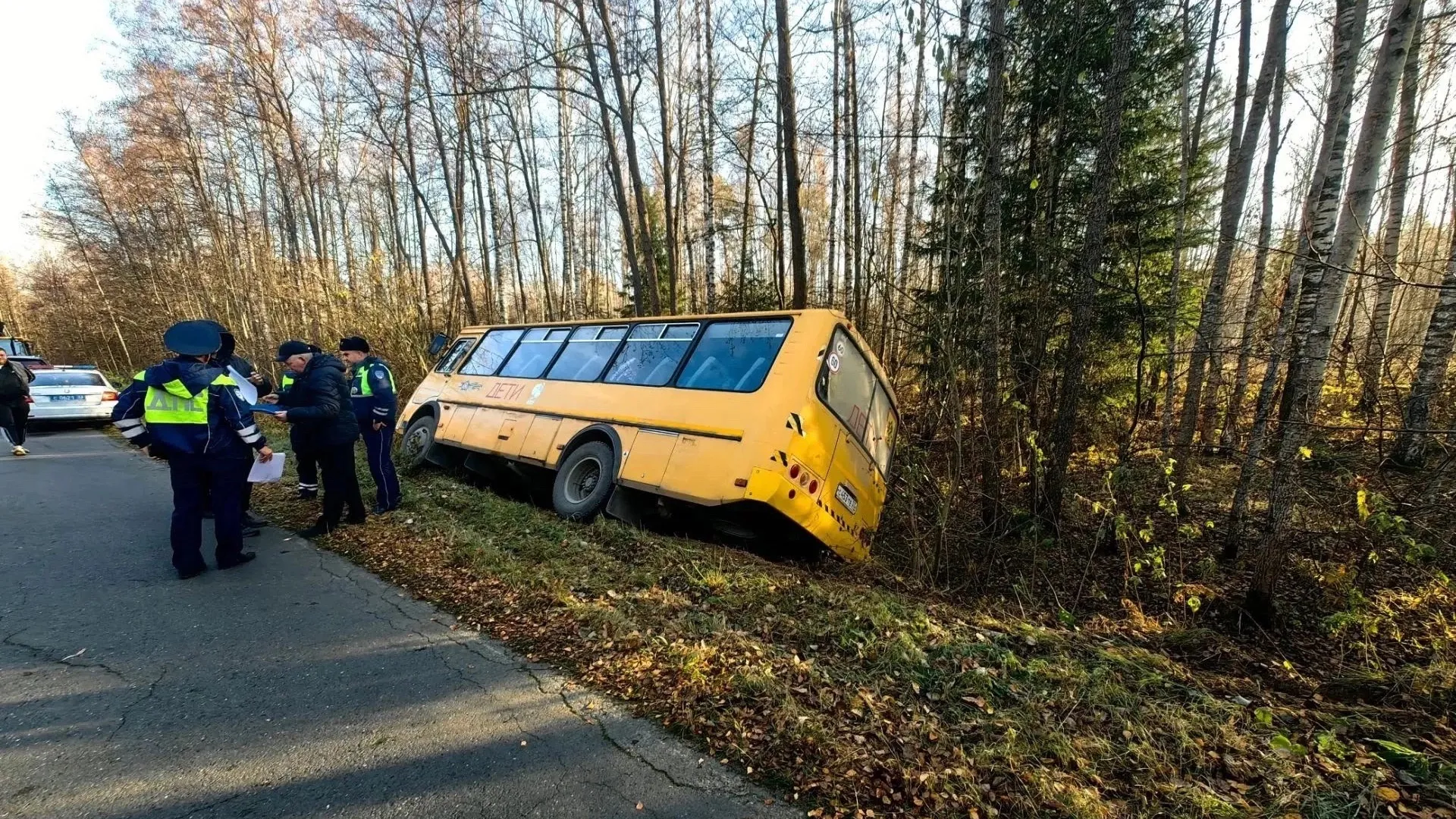 В Петушинском районе школьный автобус с детьми съехал в кювет
