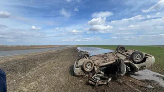 Смертельное ДТП во Владимирской области: водитель не справился с управлением и вылетел с дороги