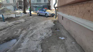 Штраф до 200 тыс. рублей: ГАИ будет тотально проверять водителей на наличие этой вещи