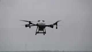 Во Владимирской области беспилотники уже помогают в работе лесникам