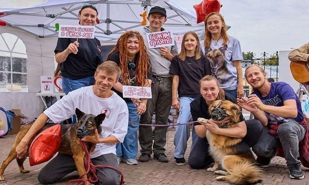 Фестиваль «Рок в защиту животных» объединил музыкантов и волонтёров региона