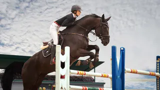 Конный спорт велоспорт, и другие: что ждет Владимирскую область в ближайшие дни