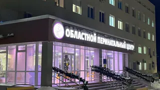 В Областном перинатальном центре умерла беременная двойней 34-летняя женщина