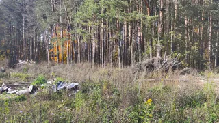 В Собинке власти обязали оборудовать площадку для складирования снега