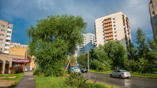 Владимирцев в августе ждет еще 15 дождливых дней: подробный прогноз