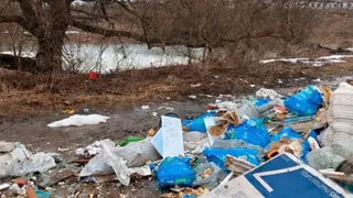 Мусор свозили со всего района: у водоёма в Порецком убрали большую свалку