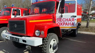 Владимирская область завершила пожароопасный сезон без потерь