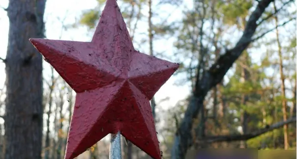 Прокуратура заставила чиновников привести в нормальный вид мемориалы