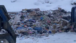 В Кольчугине закрыли полигон ТКО и выявили нарушения на мусороперегрузочной станции