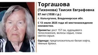 В Кольчугине пропала 87-летняя женщина в белой кофте и тёмных брюках