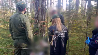 Во Владимирской области четверо убили молодую девушку