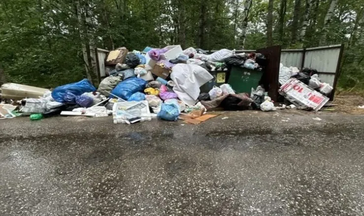 После жалоб жителей прокуратура выявила нарушения в вывозе мусора в Гороховецком районе