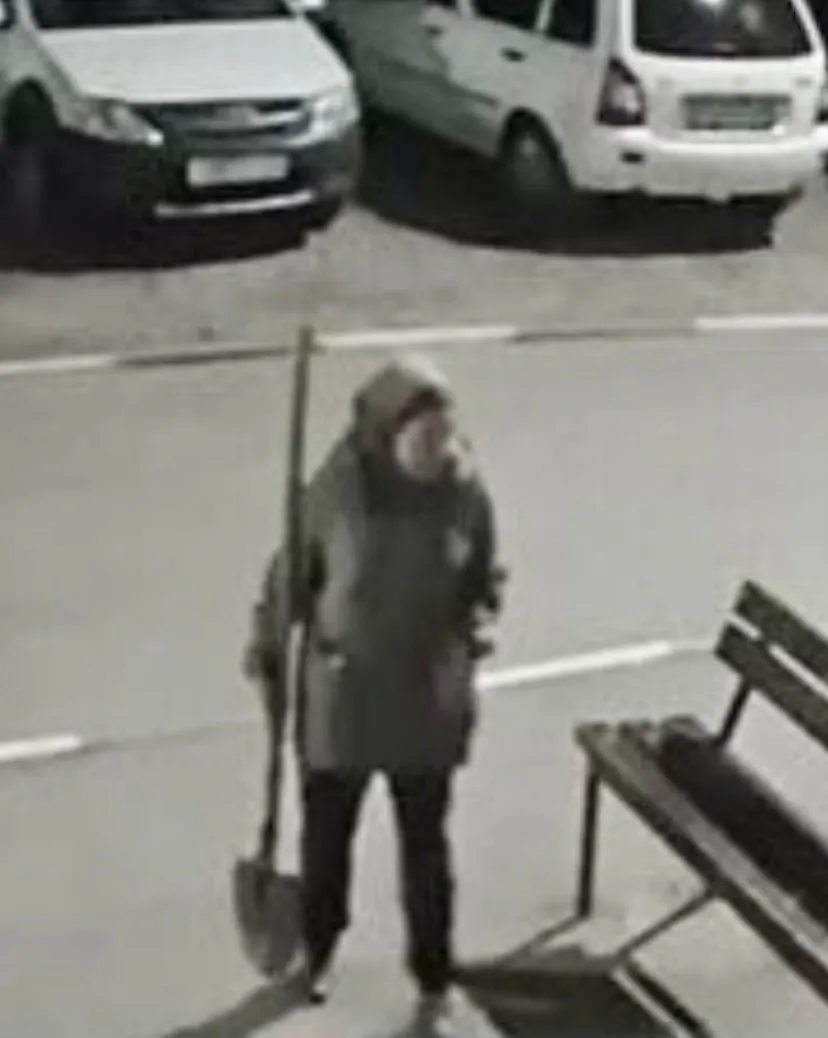 Под покровом ночи кольчугинская пенсионерка обокрала все клумбы