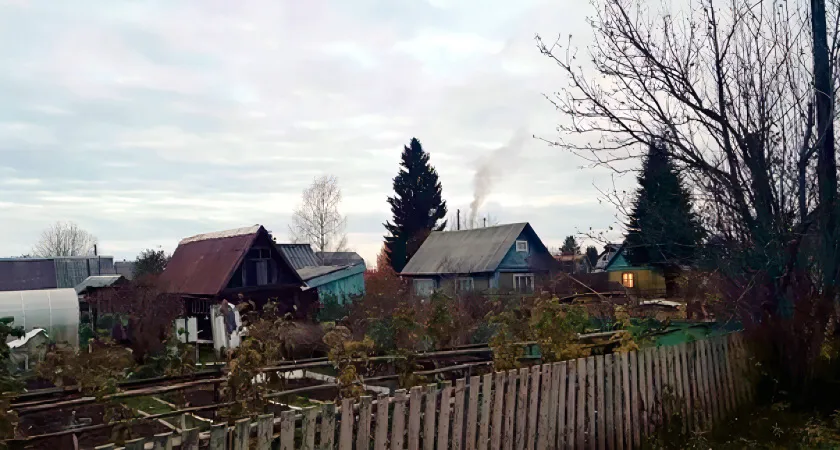 Благоприятные дни: вот когда лучше сажать морковь и свеклу