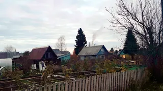 Благоприятные дни: вот когда лучше сажать морковь и свеклу