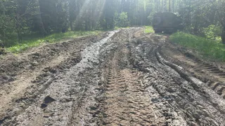 В Юрьев-Польском районе арендатора леса обязали восстановить повреждённую дорогу