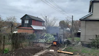 Это самое популярное растение теперь запретили выращивать: дачников ошарашили новым правилом