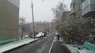 Заставят точно всех: собственников квартир или автомобилей ждет неприятный сюрприз с 12 декабря