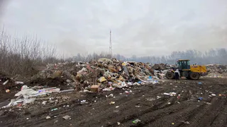 Вместо создания мусоросортировочного комплекса владимирское предприятие просто устроило свалку