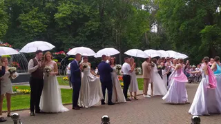 В День Семьи, любви и верности в парке «Липки» поженят 30 молодых пар