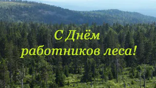 Поздравление Губернатора А.А.Авдеева с Днём работников леса, выпавшим на 15 сентября