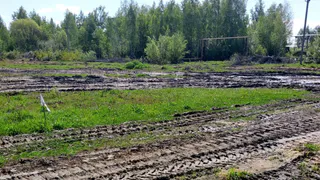 Семье из Меленковского района выделили участок без тротуаров и водоотведения