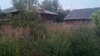 Эти фамилии есть у тех, кто испокон веков рождался в семье холопов: проверьте, попала ли в список ваша