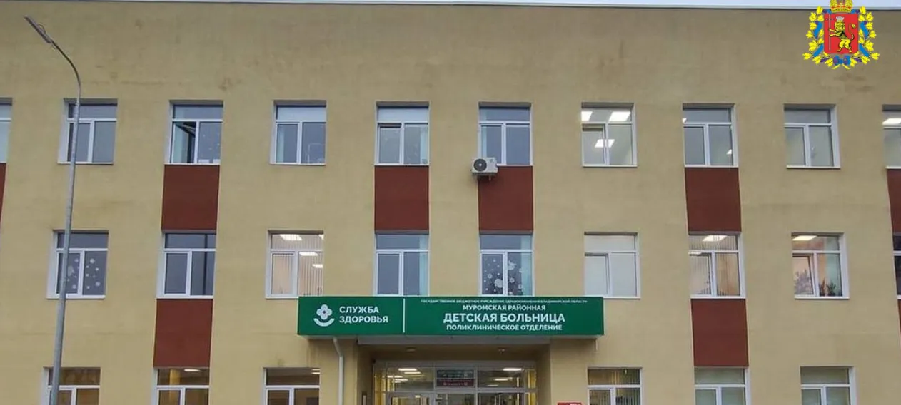 В Муромской детской больнице появится оборудование для удаления аденоидов