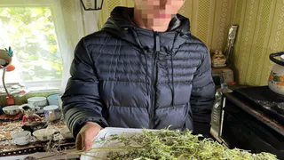 Жителя Коврова будут судить за хранение и выращивание запрещённых растений