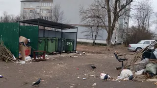 В Кольчугинском районе придомовые территории оказались забросаны мусором