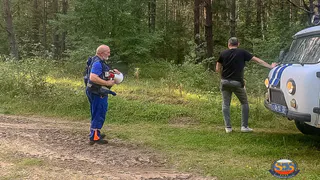 Во Владимирской области спасатели трижды за выходные выезжали на поиски грибников