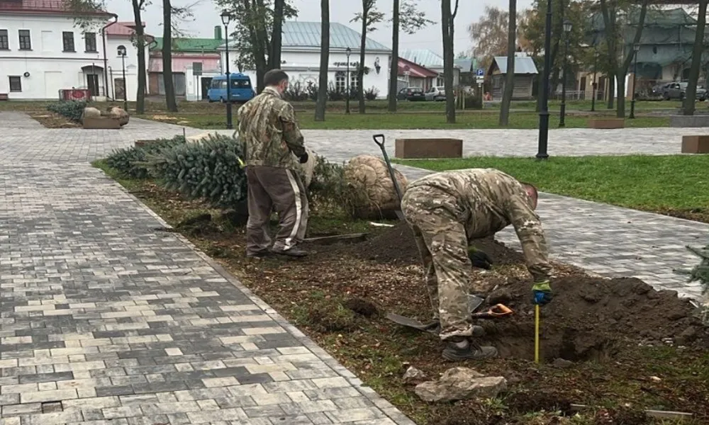 Два сквера Суздаля получат 36 новых деревьев при участии местных жителей