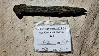 В Окском парке под Муромом нашли редкий инструмент средневекового ювелира