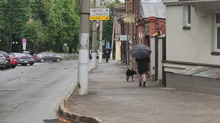 Метеоролог Вильфанд в растерянности: сдавайте билеты, если собрались в отпуск. Обновленный прогноз на август