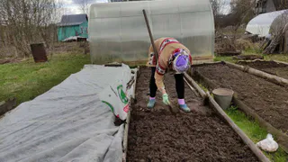 Половина чайной ложки в воду, и клещи будут избегать вас: забудьте про дорогостоящие репелленты