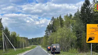 В Ковровском и Судогодском районах отремонтируют 12 километров трассы