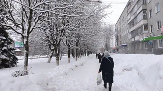 Какой будет зима 2024-2025: В некоторых регионах России погода удивит аномальным теплом и суровыми морозами