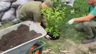 Во Владимире благоустроили Левитановский сквер в честь года Защитника Отечества