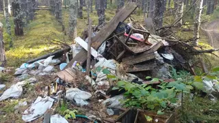 В лесу Селивановского района обнаружили свалку