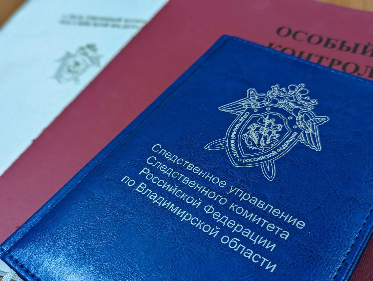 В суд направлено дело жительницы Владимира, которая нанесла травмы полицейскому