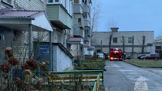 Ковровчанин спас женщину с ребенком во время пожара