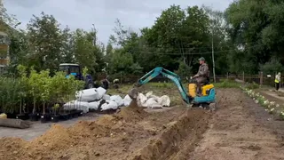 Владимирскую музыкальную школу №1 окружат деревьями и цветниками