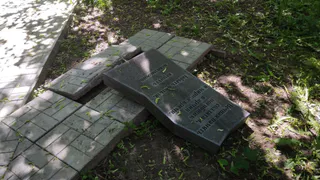 Во Владимире на малыша упала бетонная плита в парке