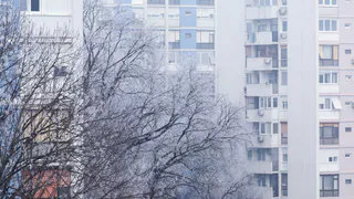 «Ноябрь и декабрь удивят безбашенной погодой». Синоптики предупредили о грядущих аномалиях